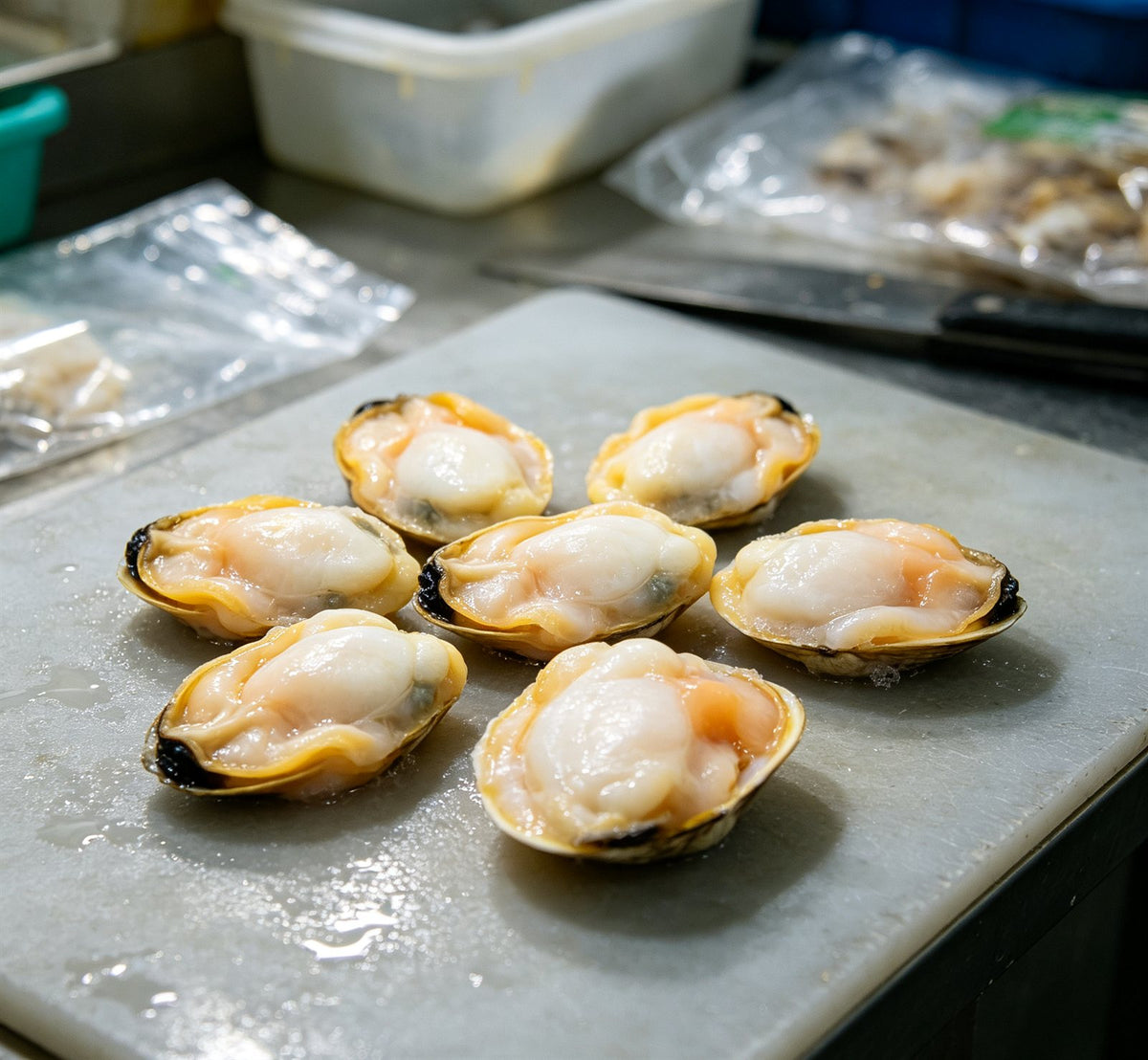 Clams on Half Shell